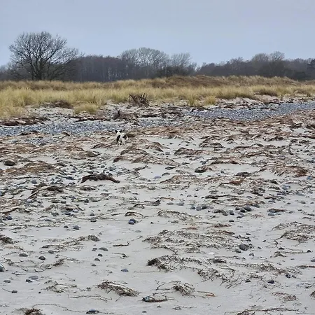 Casa de Férias 8 Person In Stege-by Traum *