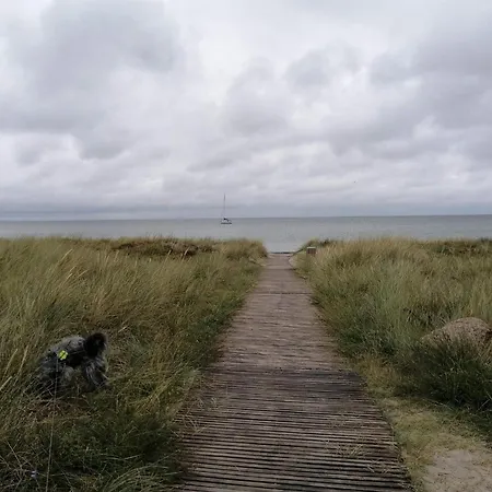 Casa de Férias 8 Person In Stege-by Traum